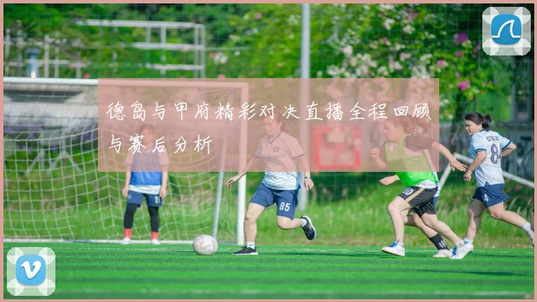 德岛与甲府精彩对决直播全程回顾与赛后分析