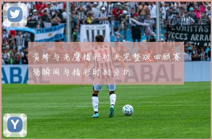 黄蜂与老鹰精彩对决完整版回顾赛场瞬间与精彩时刻分析