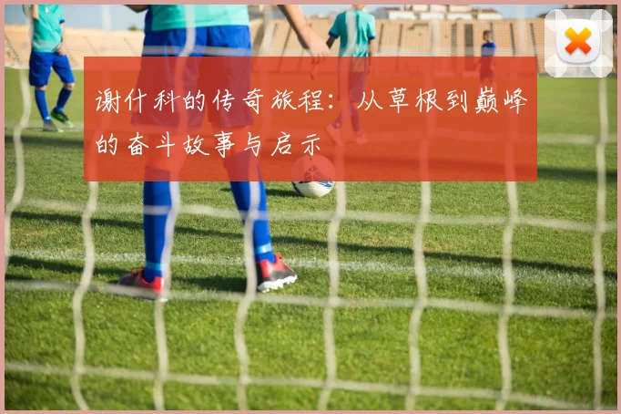 谢什科的传奇旅程：从草根到巅峰的奋斗故事与启示