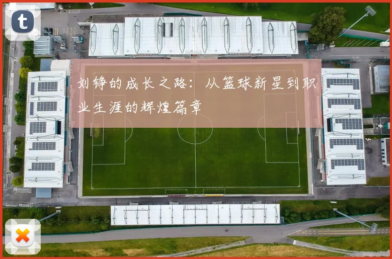 刘铮的成长之路：从篮球新星到职业生涯的辉煌篇章